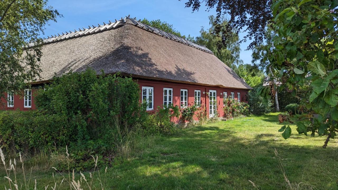 Under Valnodden Bed & Breakfast Stubbekøbing Dış mekan fotoğraf